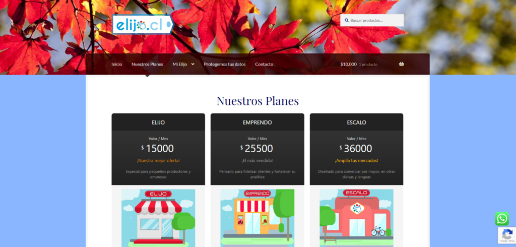 Servicios de suscripción mensual